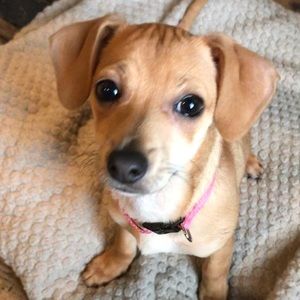 Meet your Posher, Jon